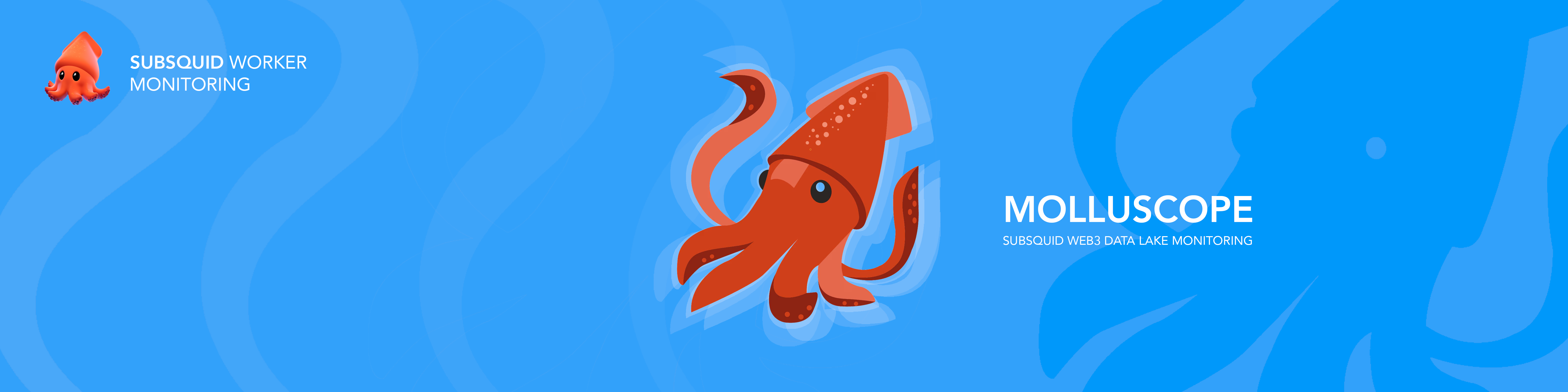Subsquid Molluscope